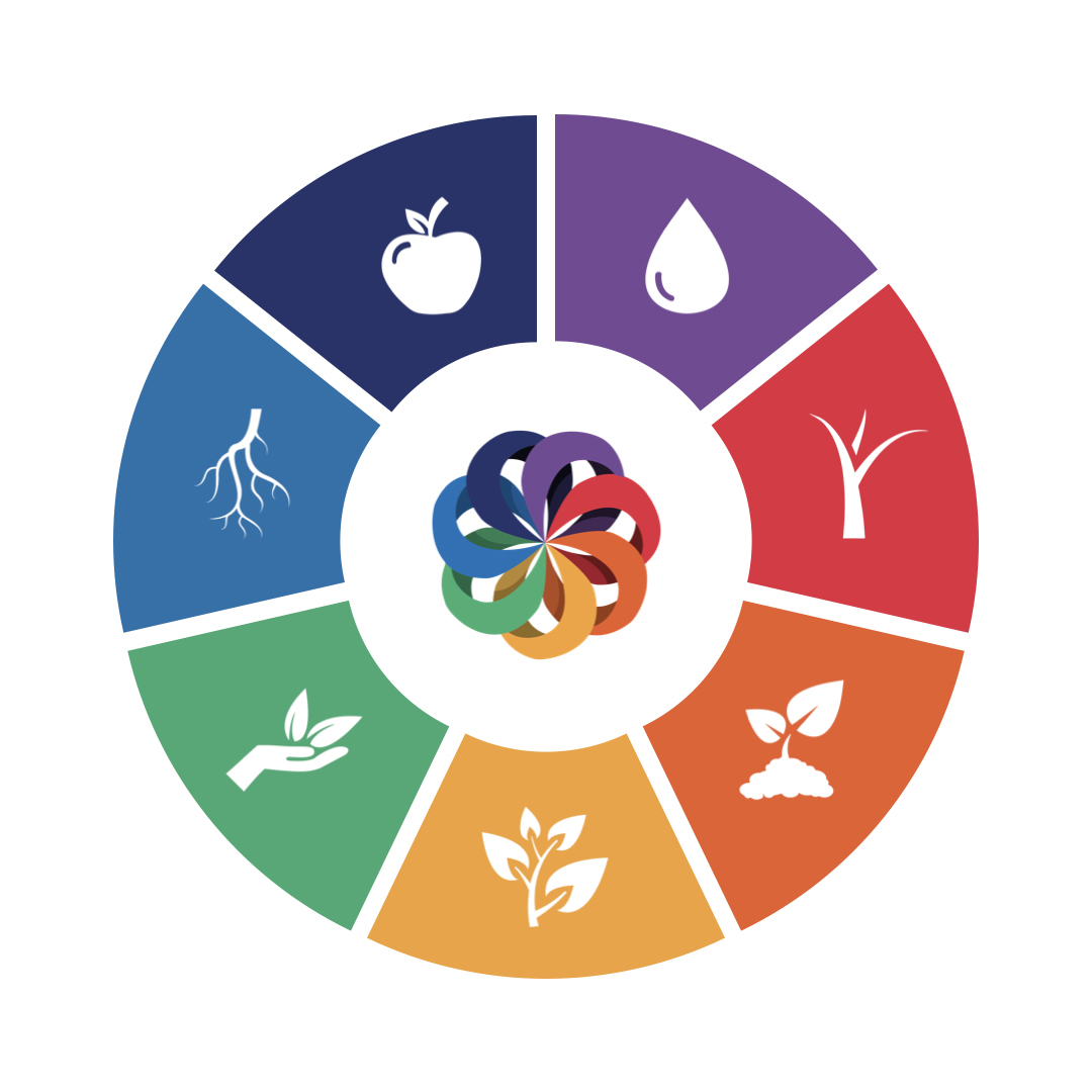 seven principles icons alt=""